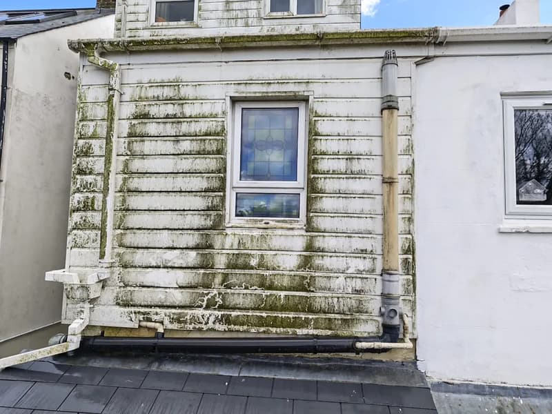Algae-covered exterior cladding before cleaning by OOR External