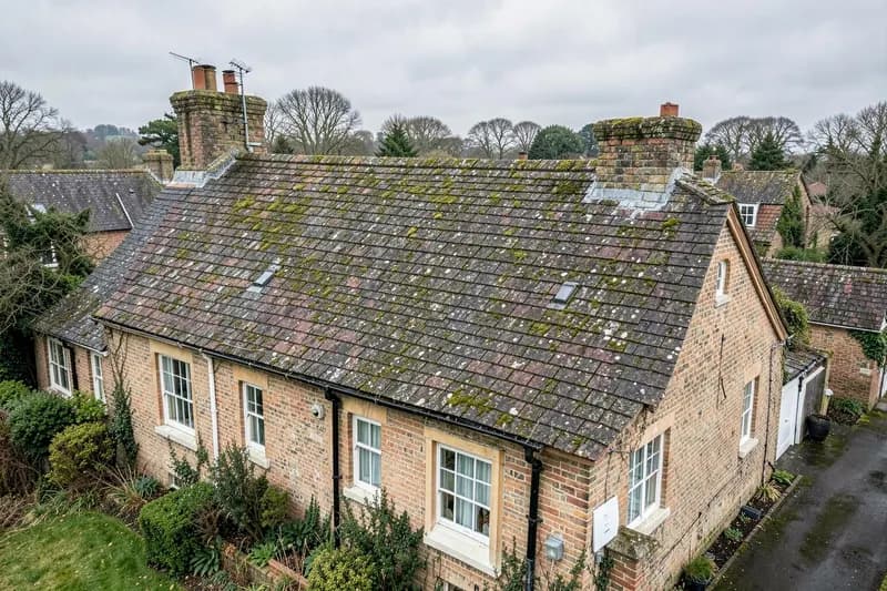 Moss and lichen on the tiled pitched roof of a British house