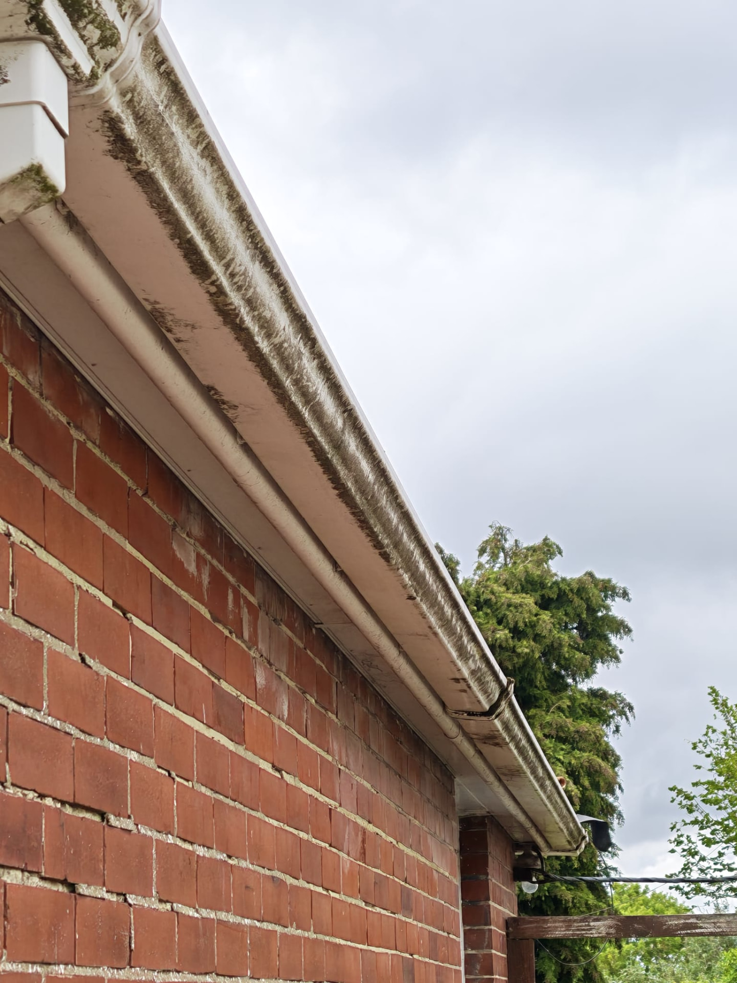 Stained gutter and fascia before cleaning by OOR External